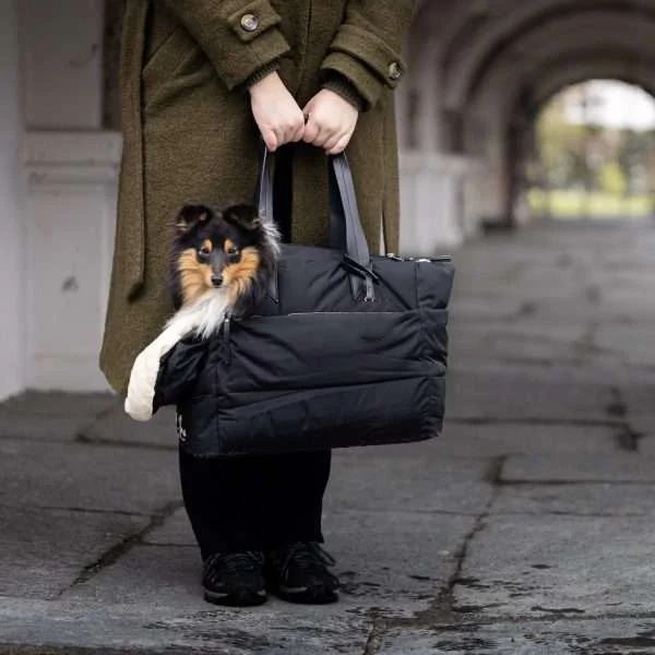 Custom Polyester Pet Carrier Bag