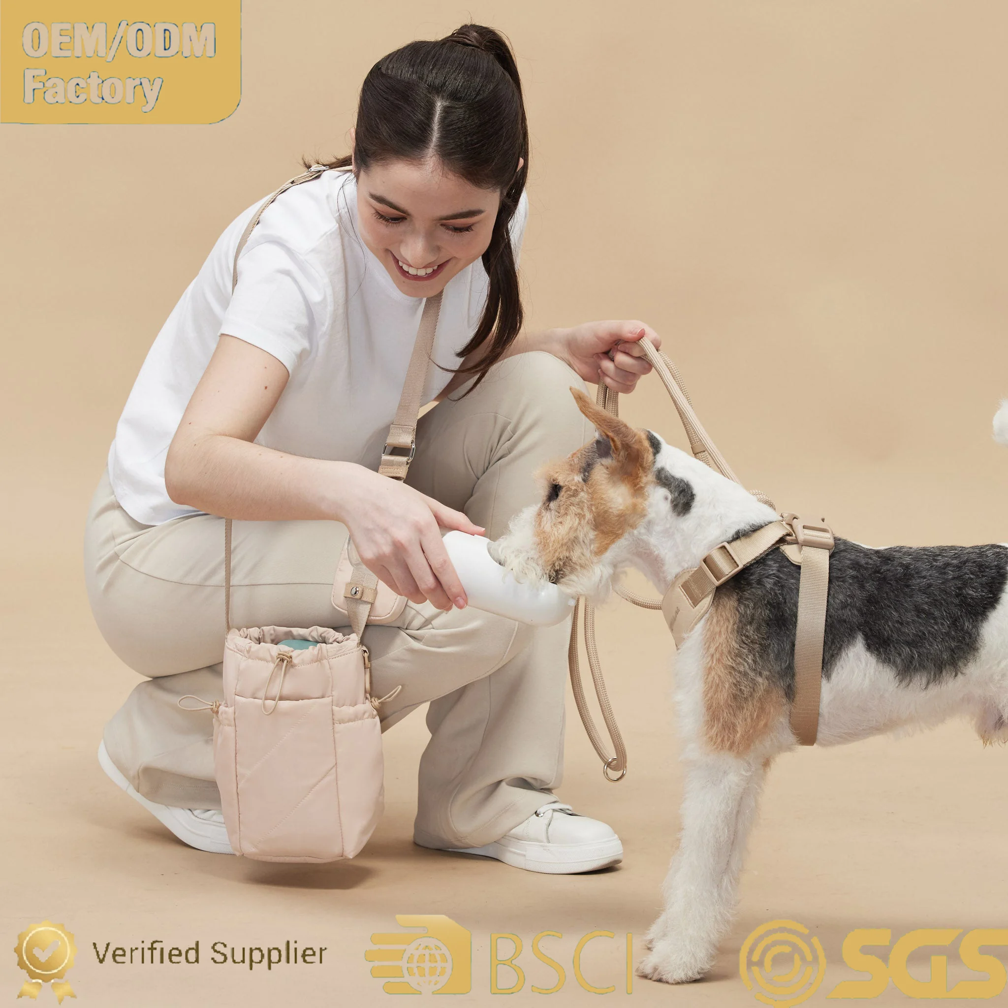 Custom Polyester Pet Carrier Bag