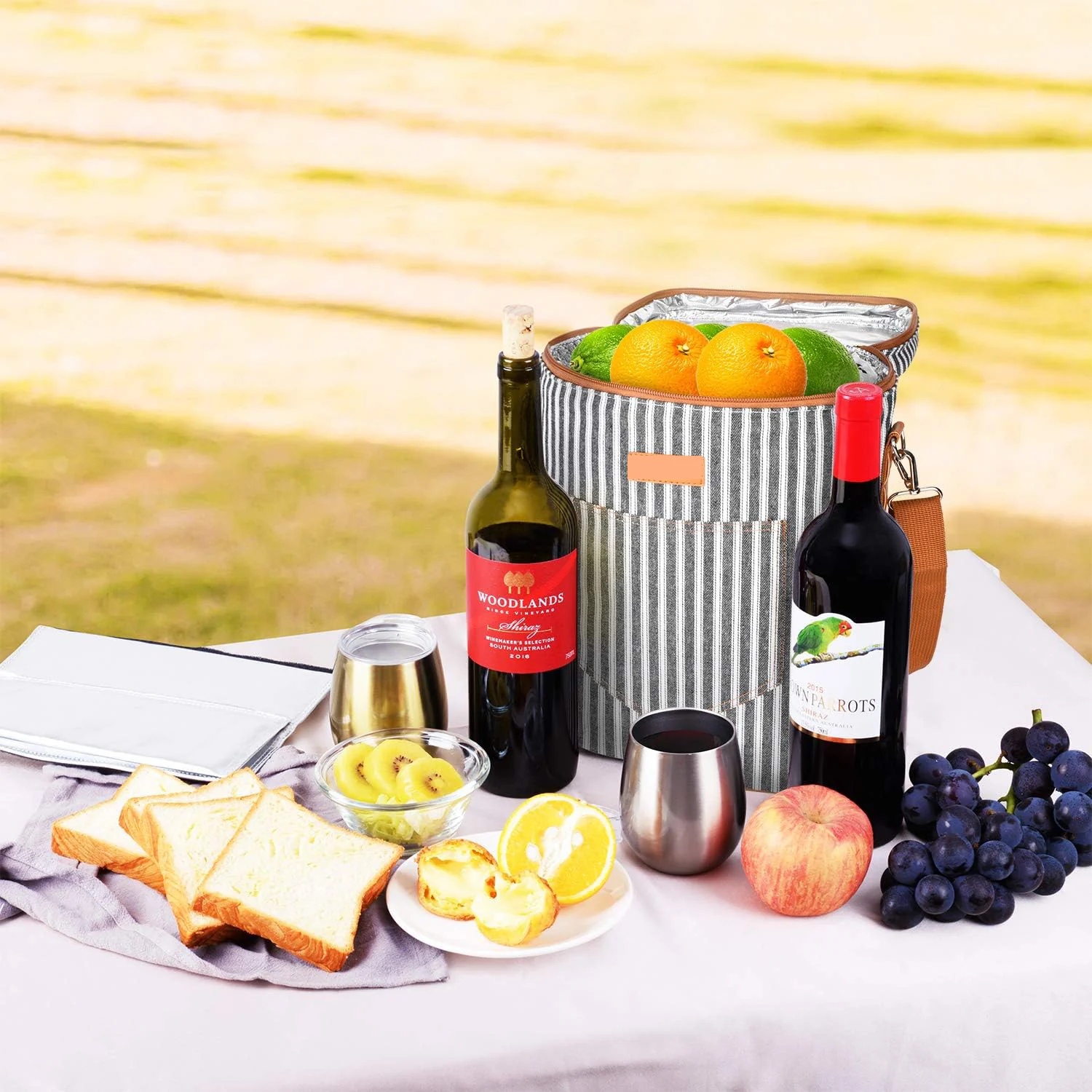 Custom Outdoor structured 4-Bottle Wine Cooler Backpack Portable