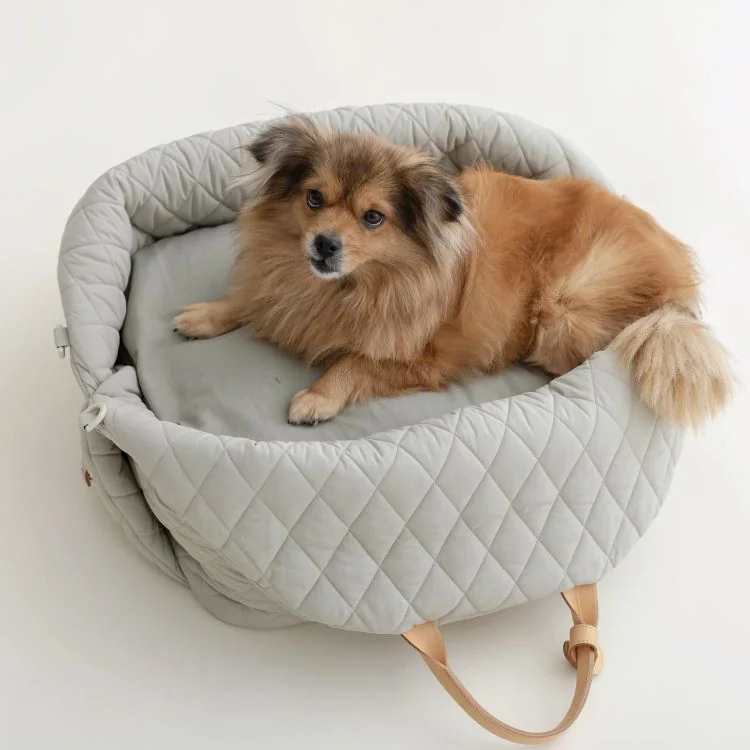 Custom Portable Travel Soft Pet Carrier Breathable Airline